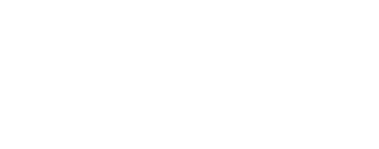 INDO SHIPS BROKER